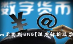Tokenim不支持BNB？深度解析及应对策略